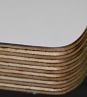 Birke Multiplex Material für Habitat-Terrarien